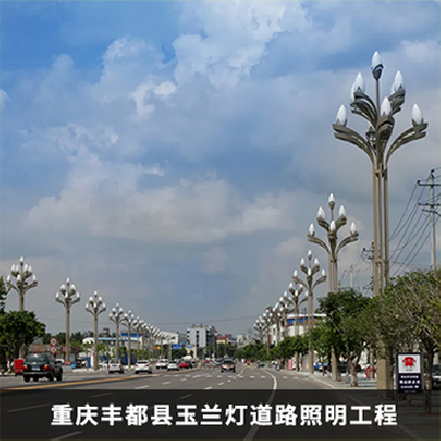 玉蘭燈道路建設(shè)工程