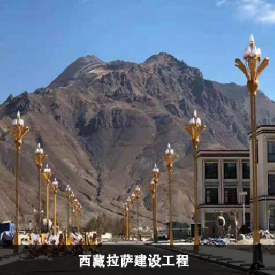 西藏拉薩建設工程
