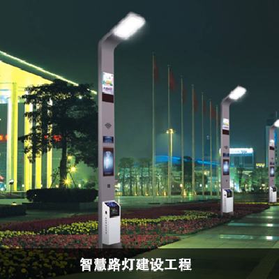 智慧路燈建設(shè)工程