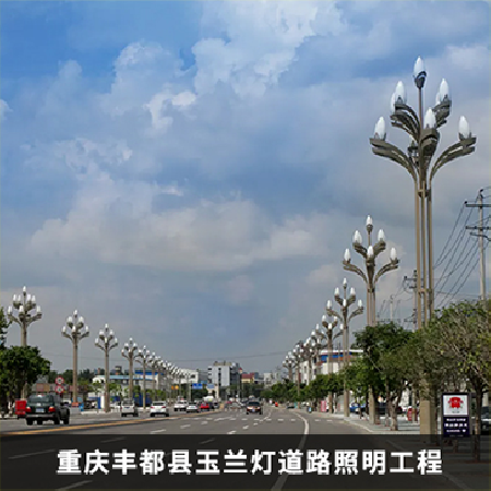 玉蘭燈道路建設(shè)工程