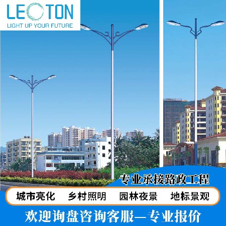 戶外LED路燈特色造型景觀燈城市道路燈市政工程照明超亮8-12m路燈